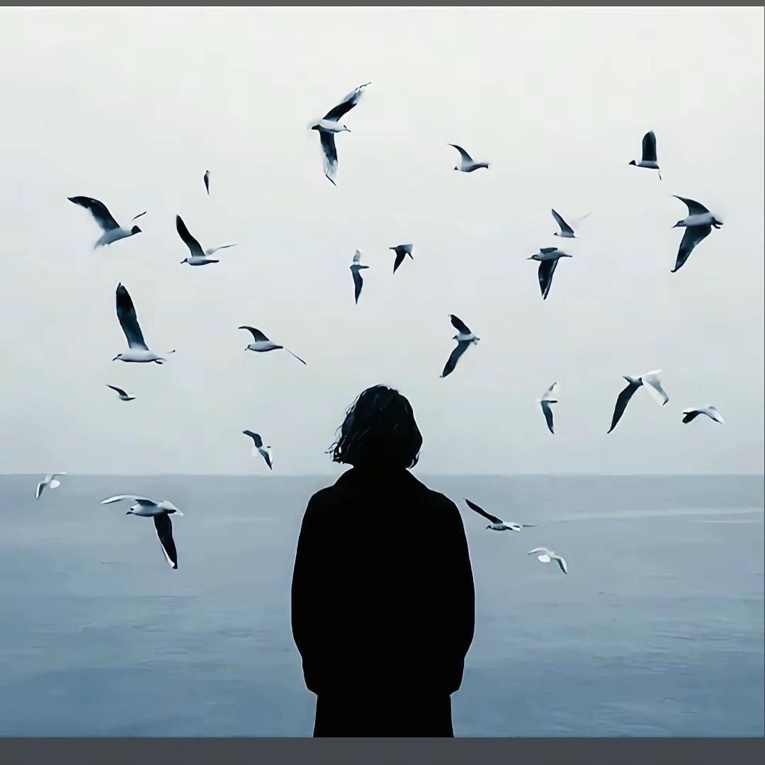 暴躁的小辣椒🌶️