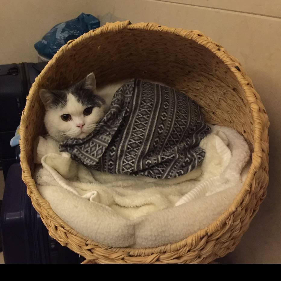 开心一家人👨‍👩‍👧‍👧