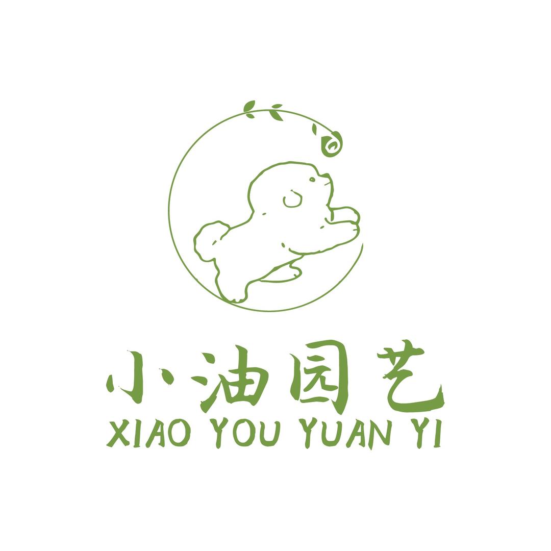 小油园艺三角梅