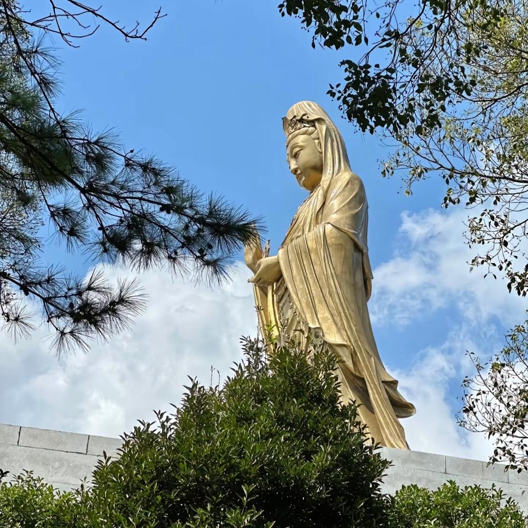 小元宝📿