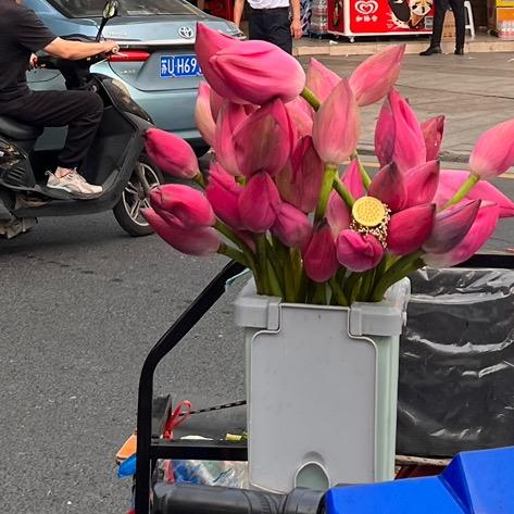 我是梅梅姐