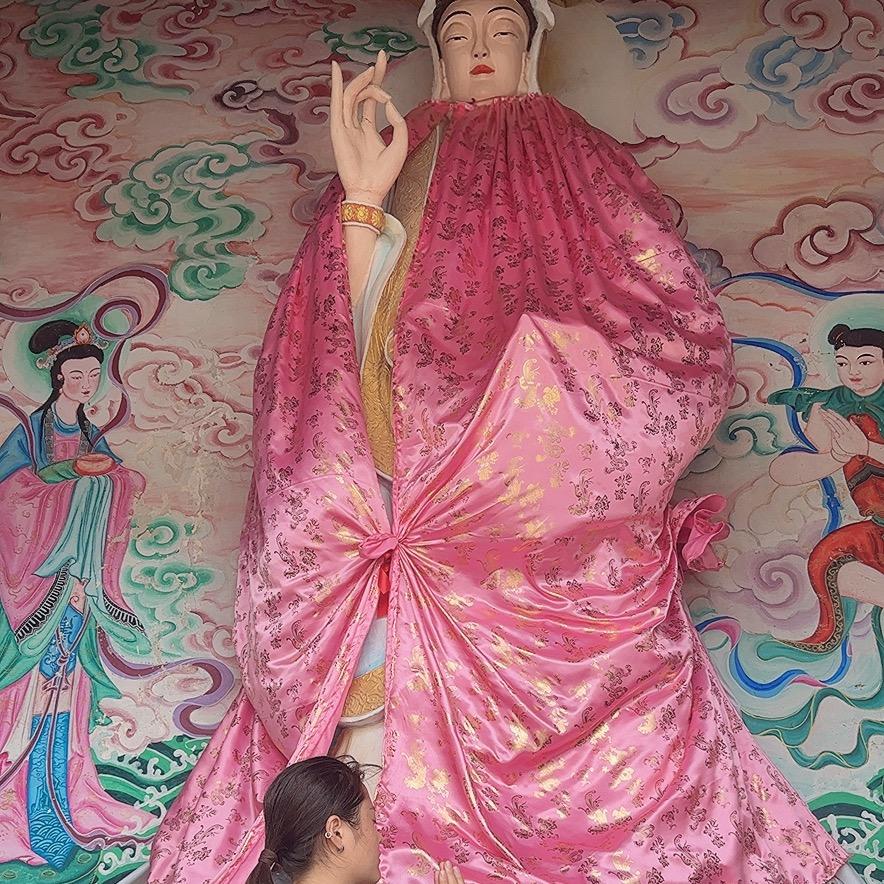 张门俯喵喵缘🙏