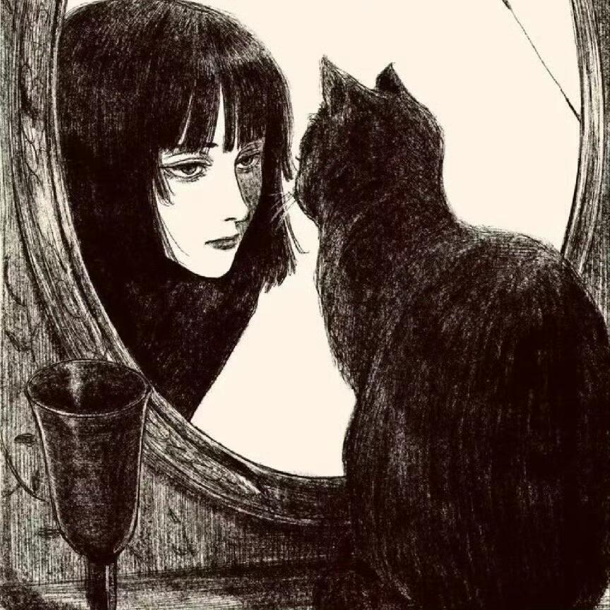 碳水貓🐈