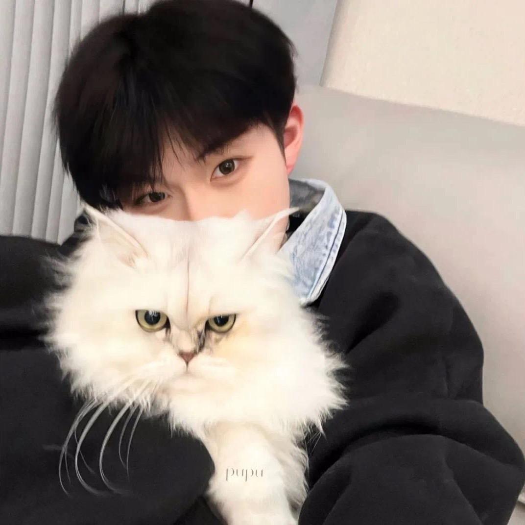 学的孙子的语言