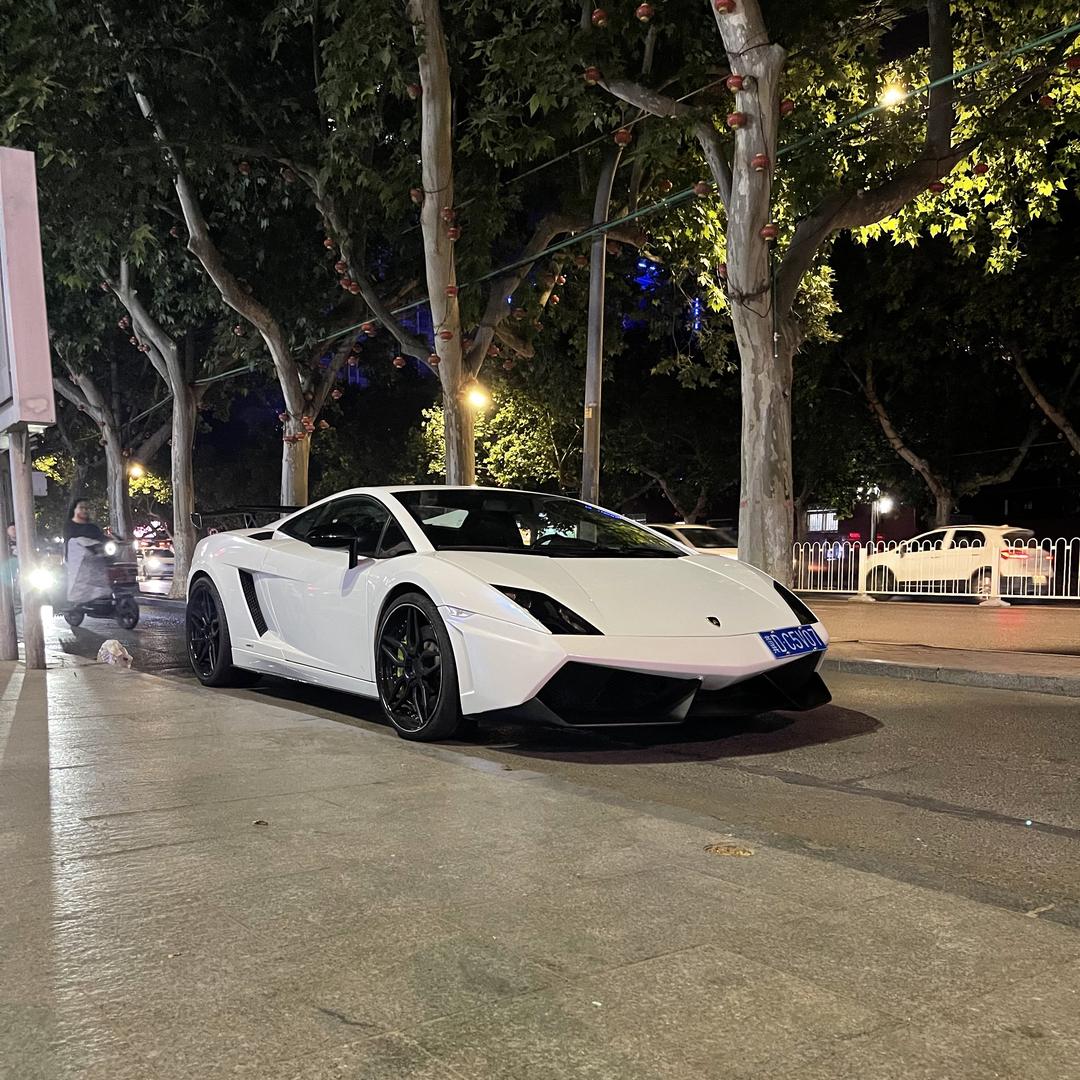 尼格斯拉