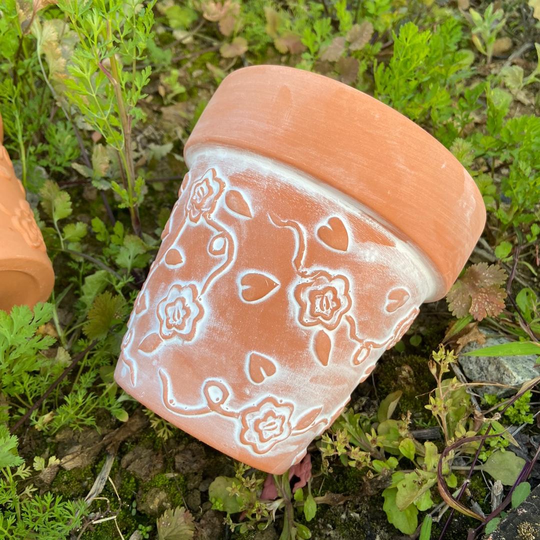 陶遇花盆
