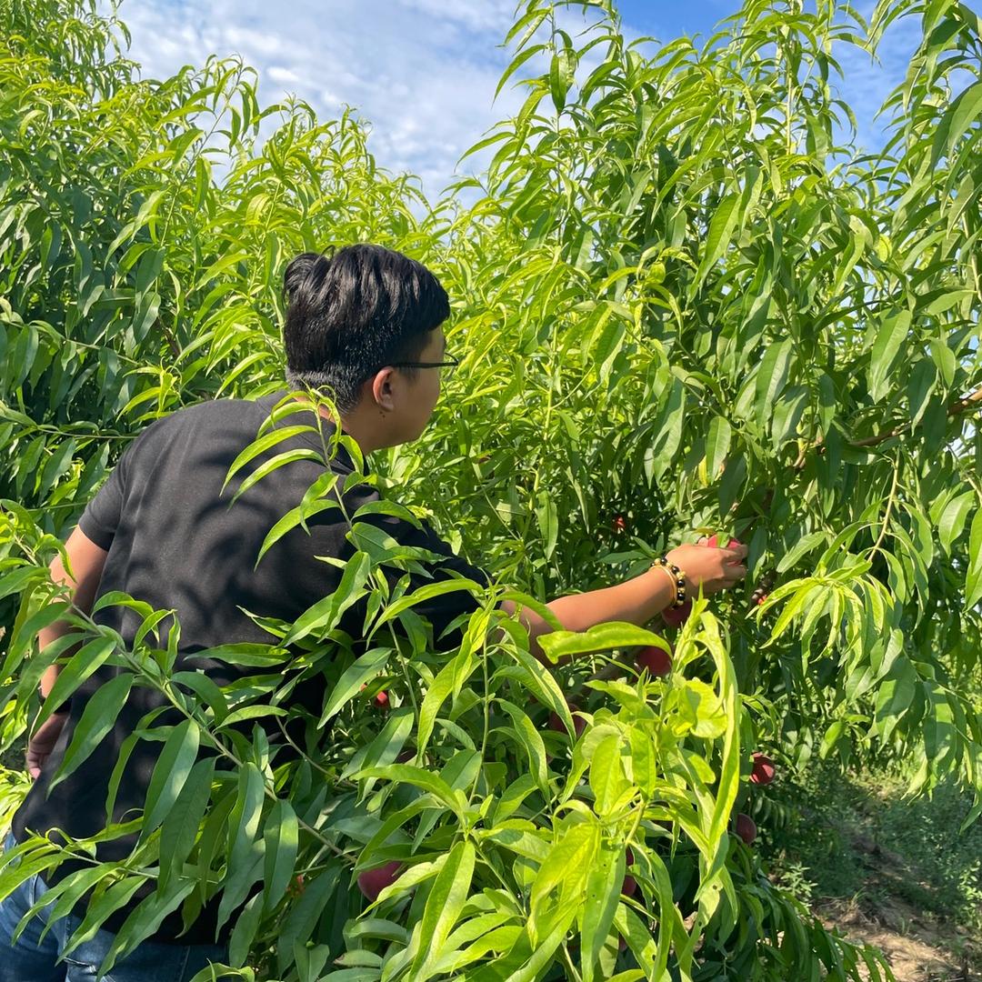 忆乡人🍁