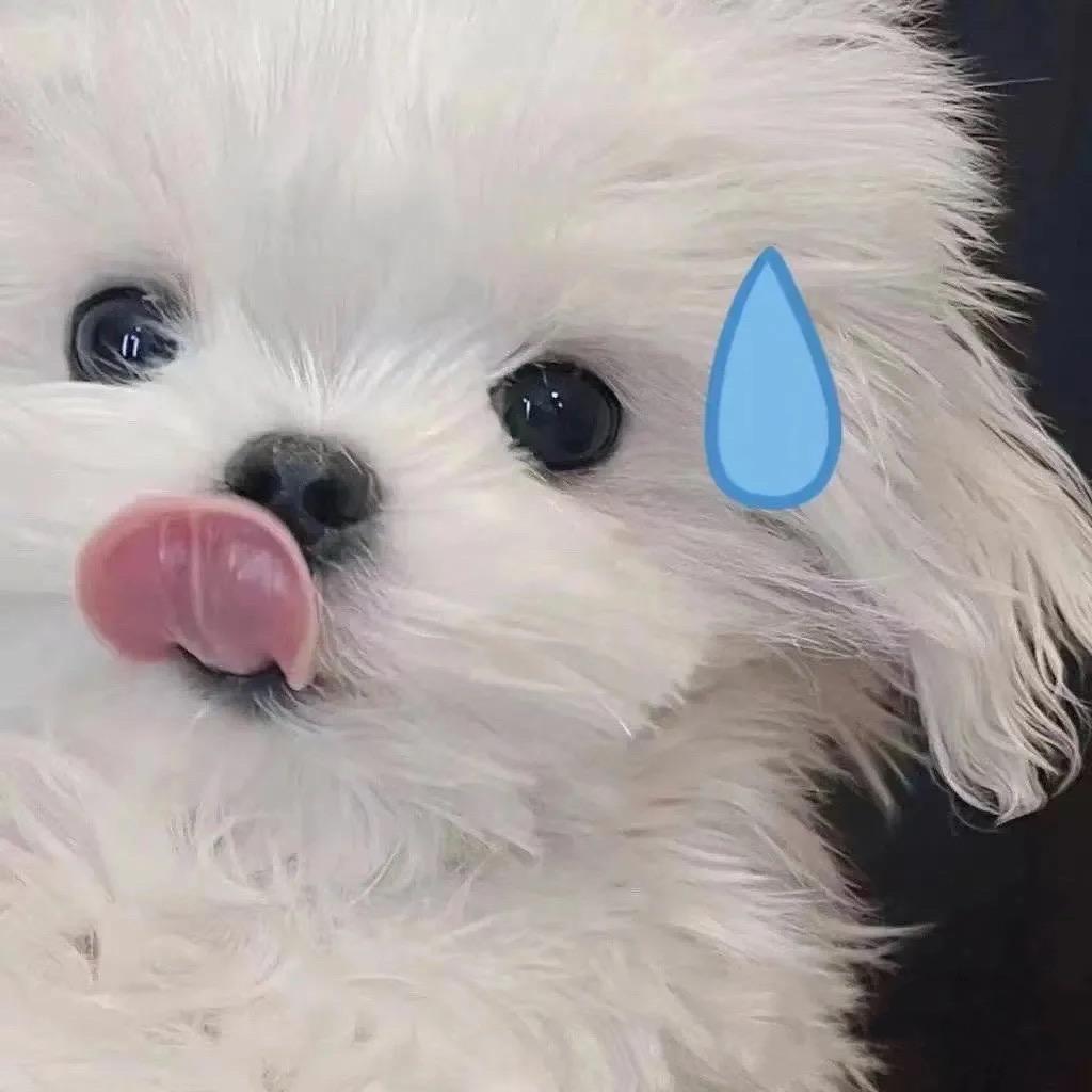 小虹书
