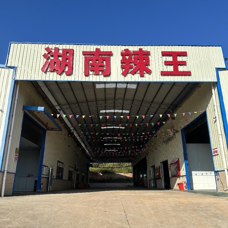 湖南辣王食品