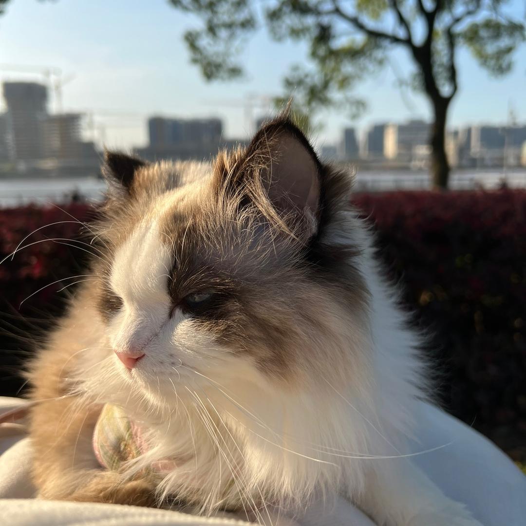 涂