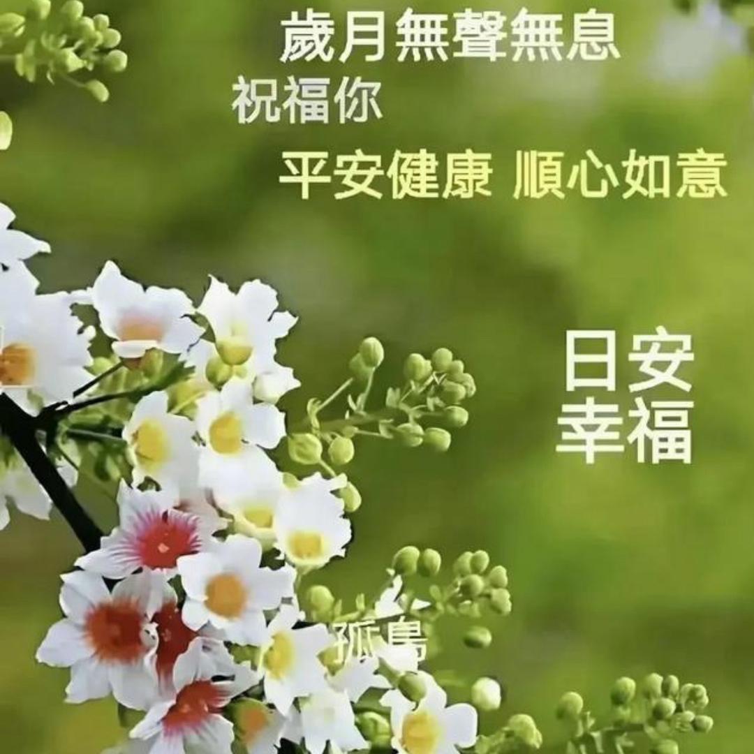 星星优品小店