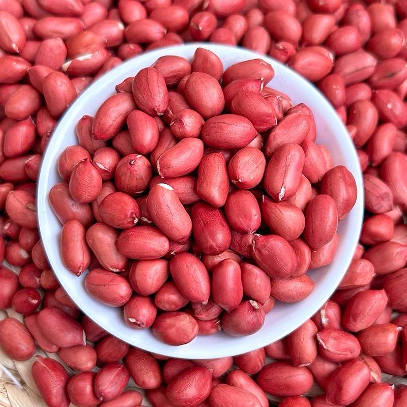 豆子管家红皮花生米