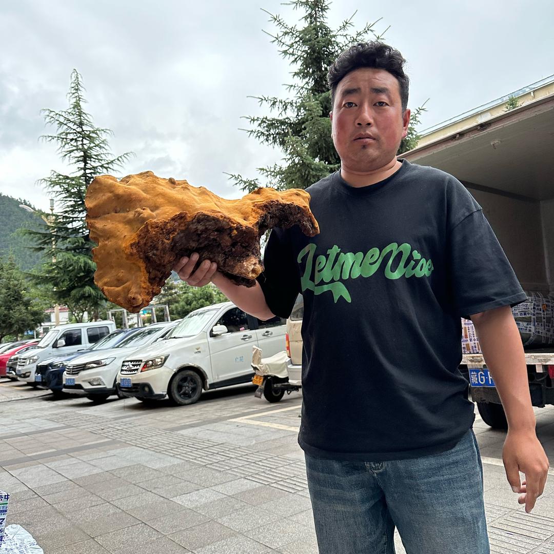 推荐野生特产