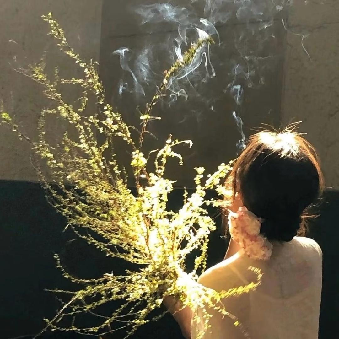 蜜思张💞