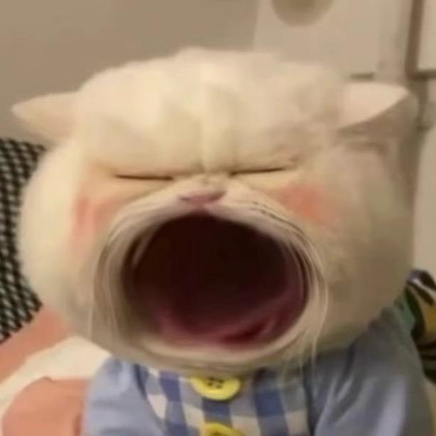 KPL王者荣耀摆烂菌