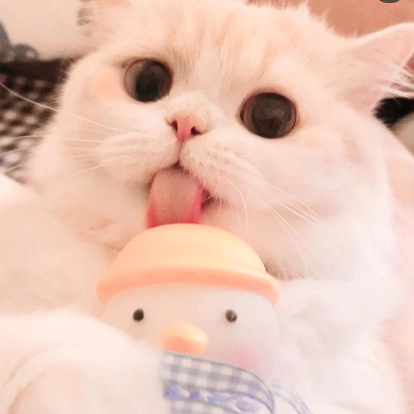 贰拾肆时
