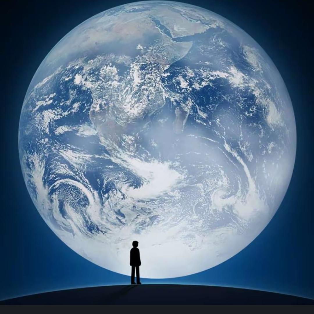 寻犬记 《南宁小陆》