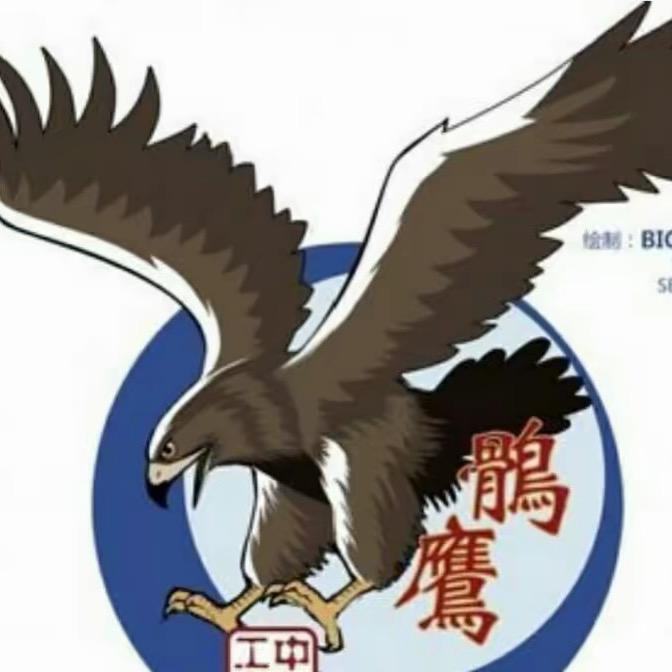 祥云鹘鹰🦅
