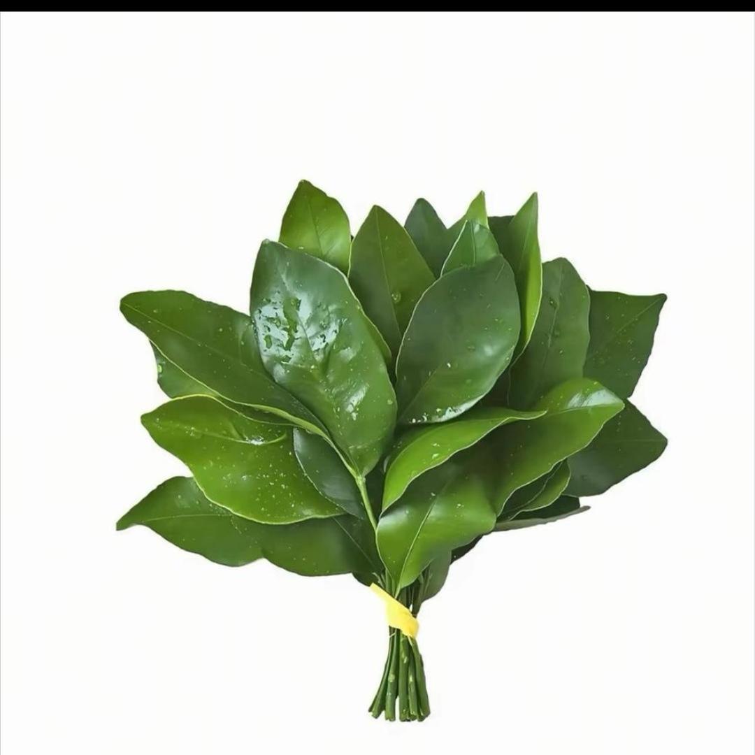 小羊！咩咩
