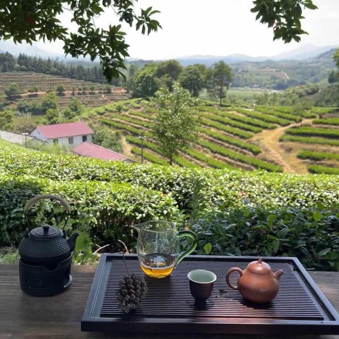 明茗岩茶