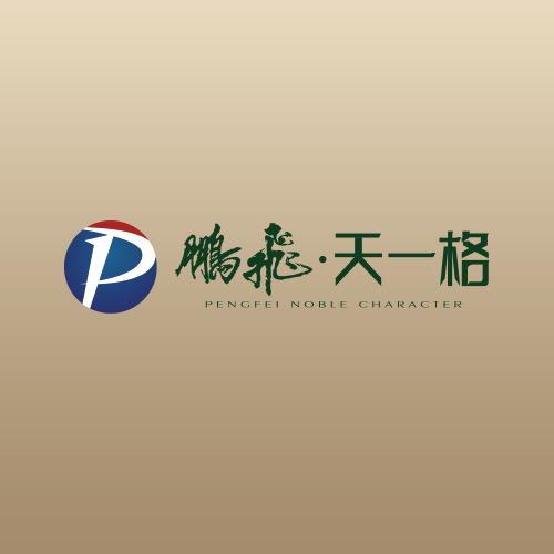 鹏飞 天一格