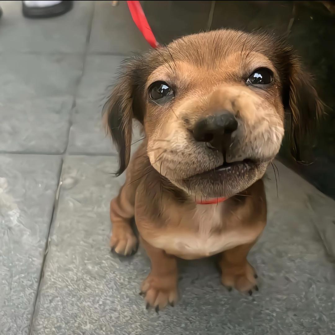 刷到我请喊我打州.