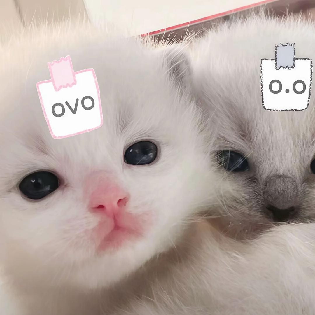 拉不出屎狂扇自己屁股发现越扇越爽