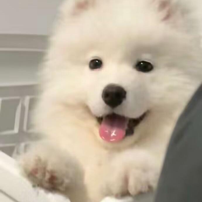 蒸汽眼罩