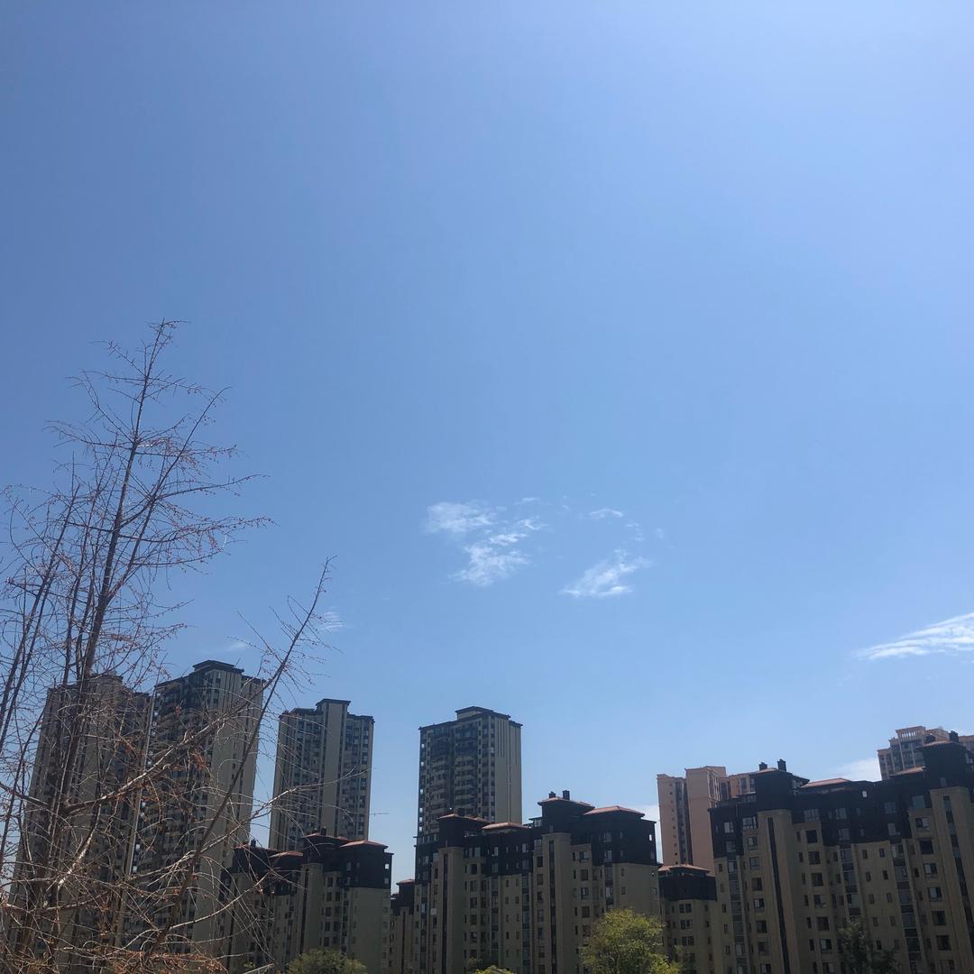 你还有遗憾吗。