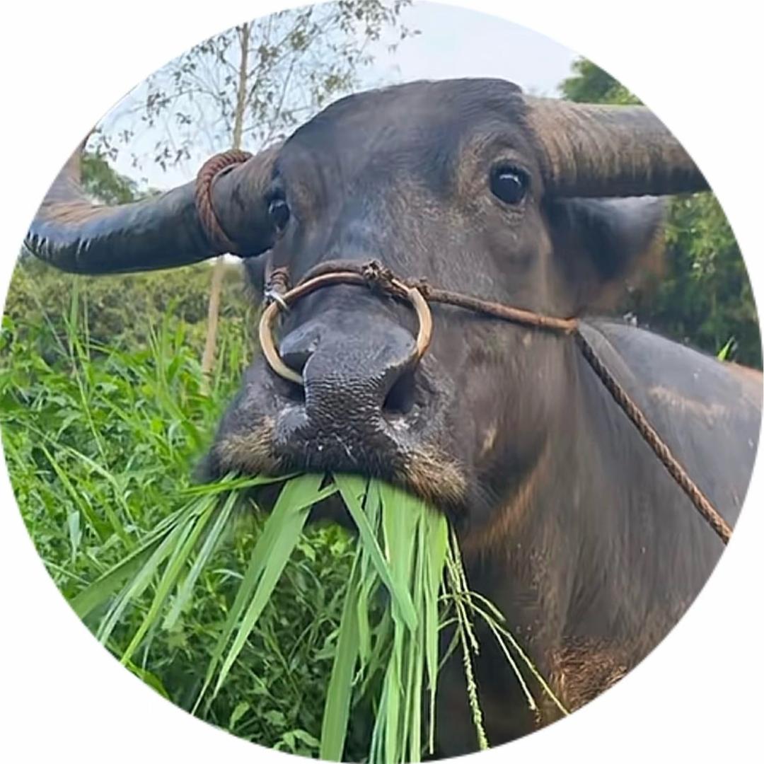 🌈文昌君看我指定行🀄️