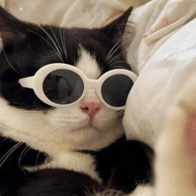 一根倔强的小腿毛