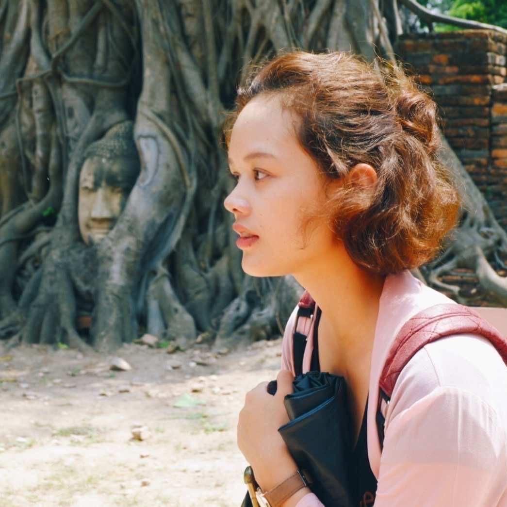 泰货小咖金小鱼