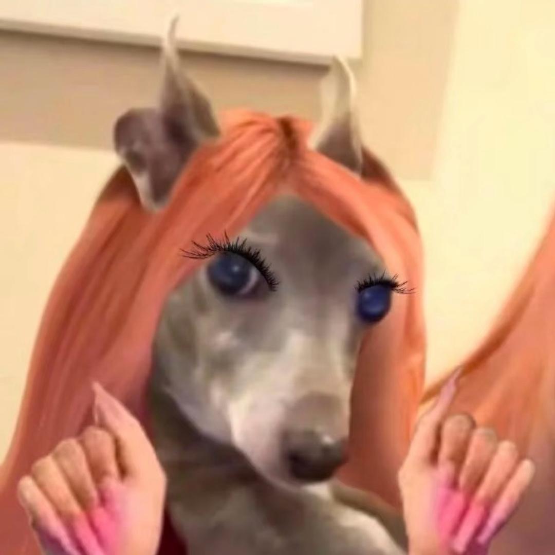 今天你刷抖音了吗