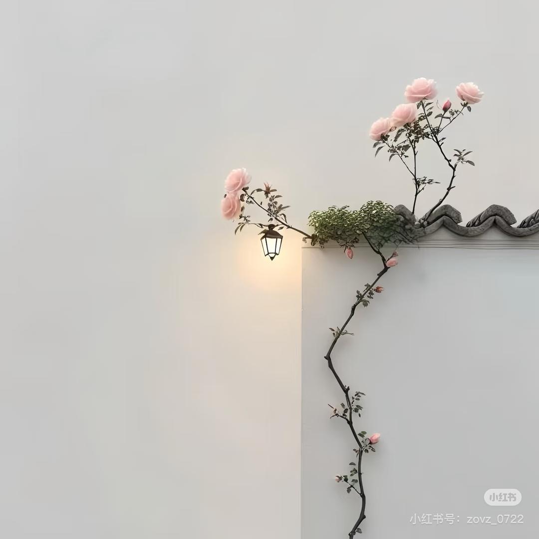 青...芒