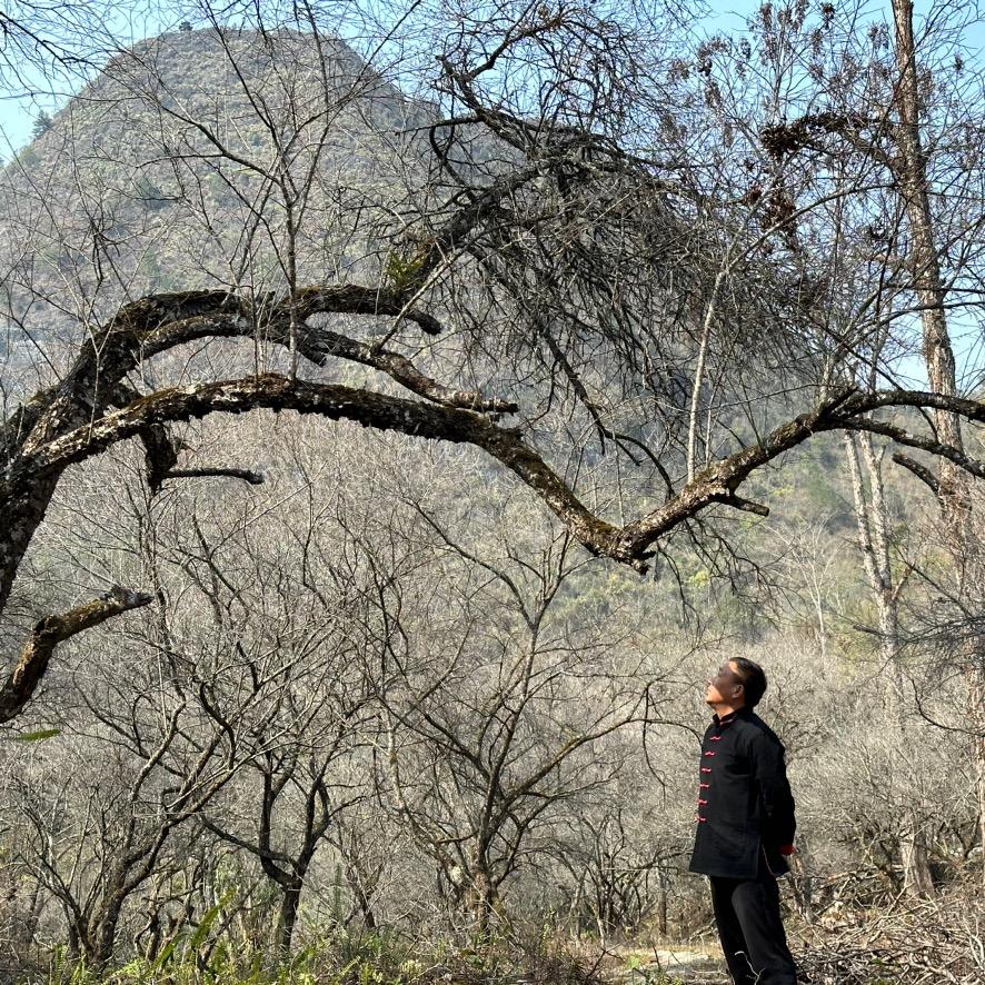 天下做饮料最傻的_阿福哥
