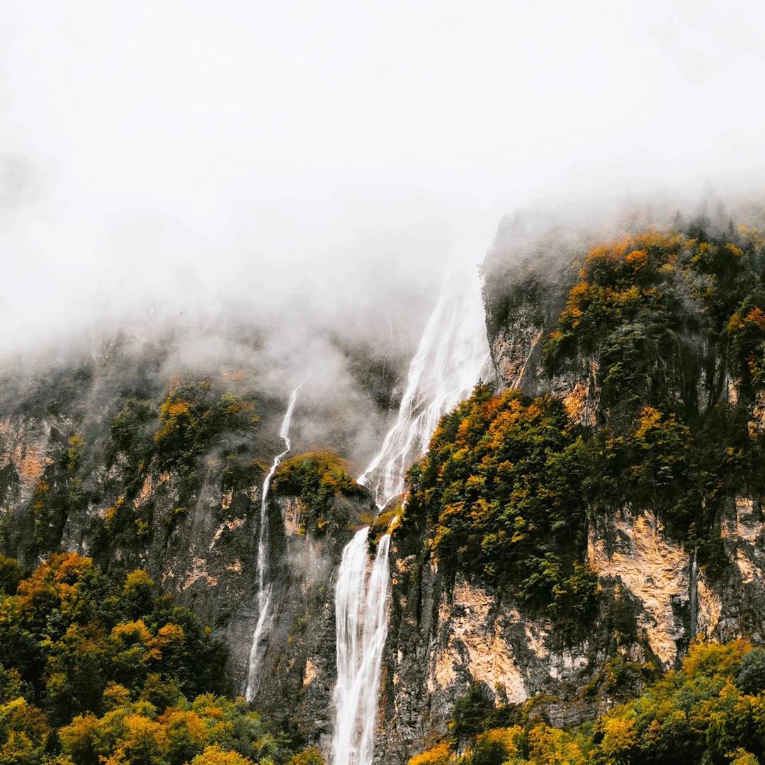 雨林阁茶庄