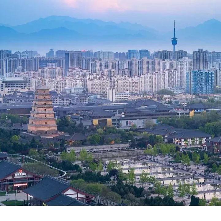 陕教招聘平台（众伟博）