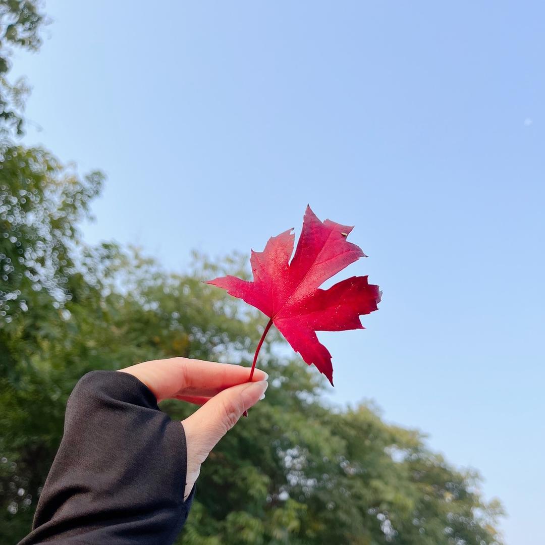 🦋韓丫头꧔ꦿꦿ꯭🦋