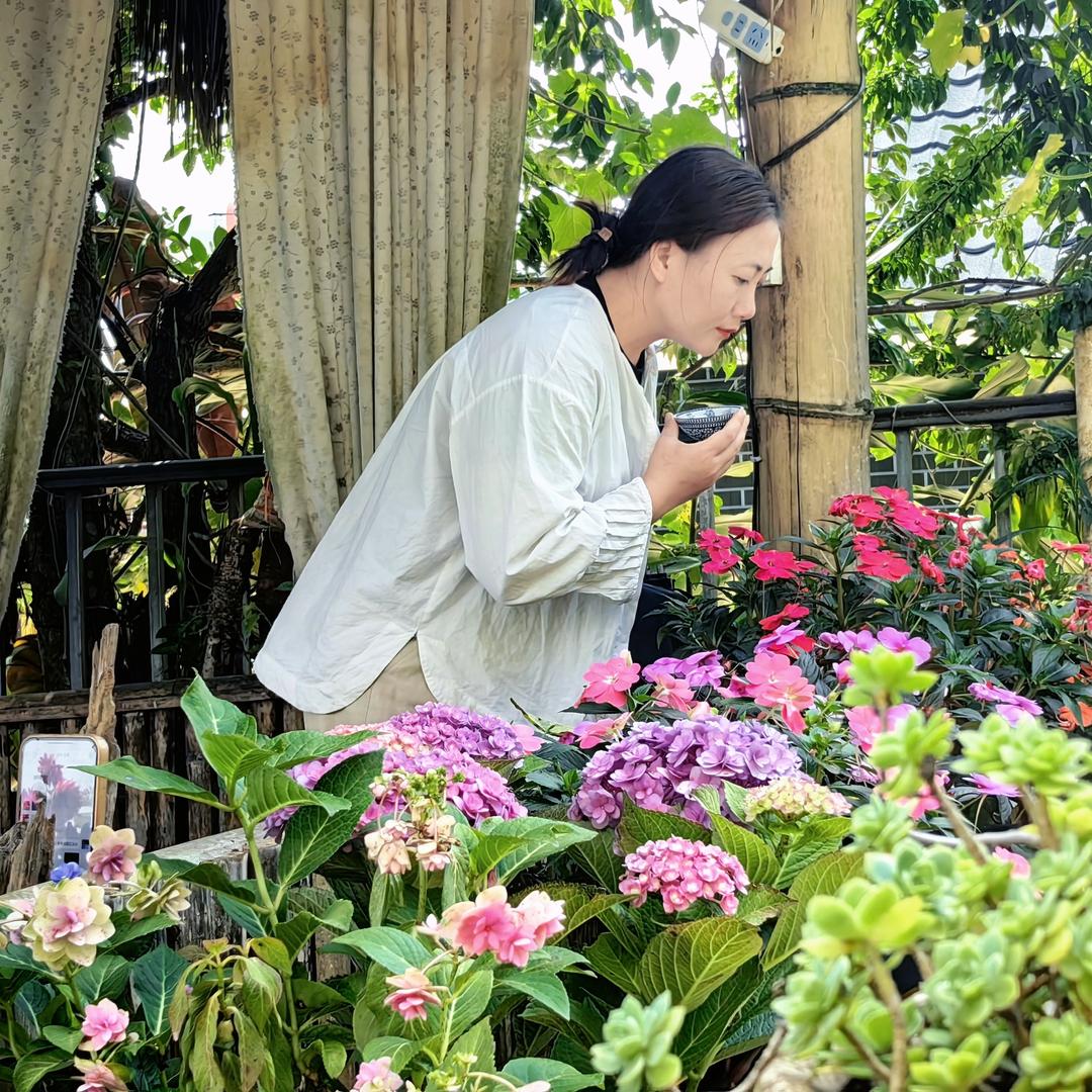 梦韵茗