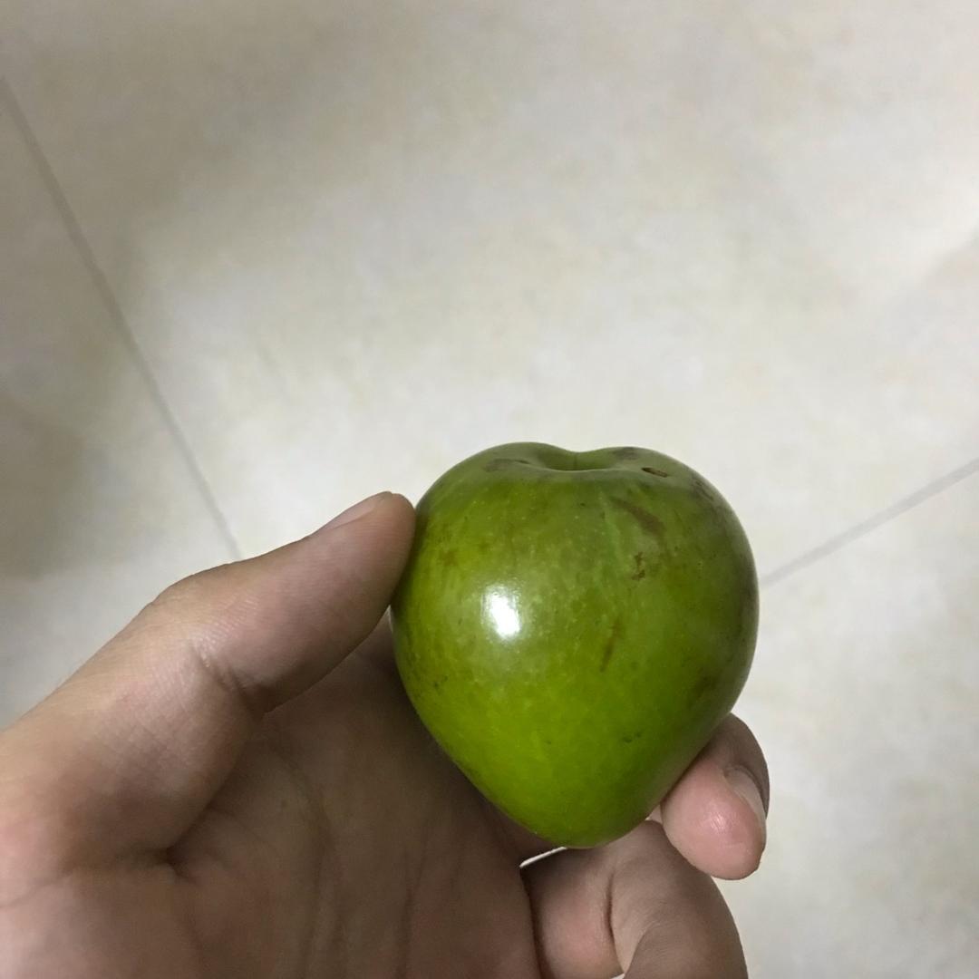 白Yhs💗