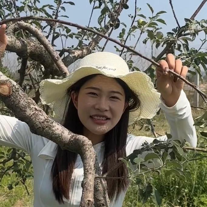 全中农业-小凡说农