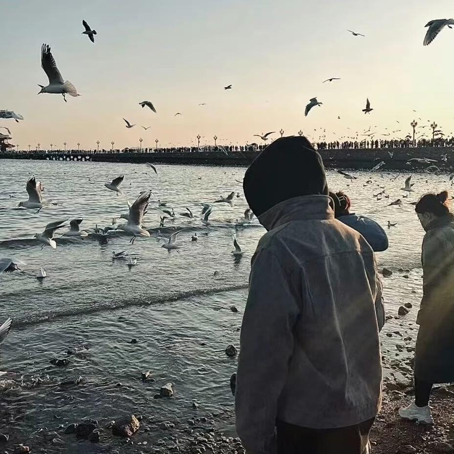 花海#