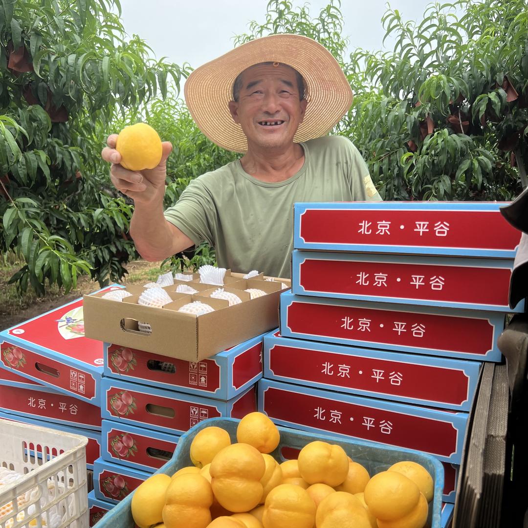 桃农老张头