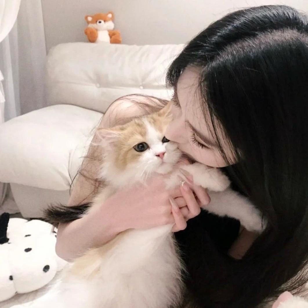 咪咪喵