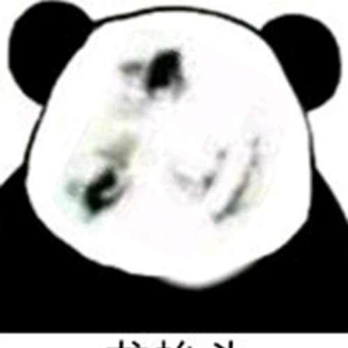 兔扎特