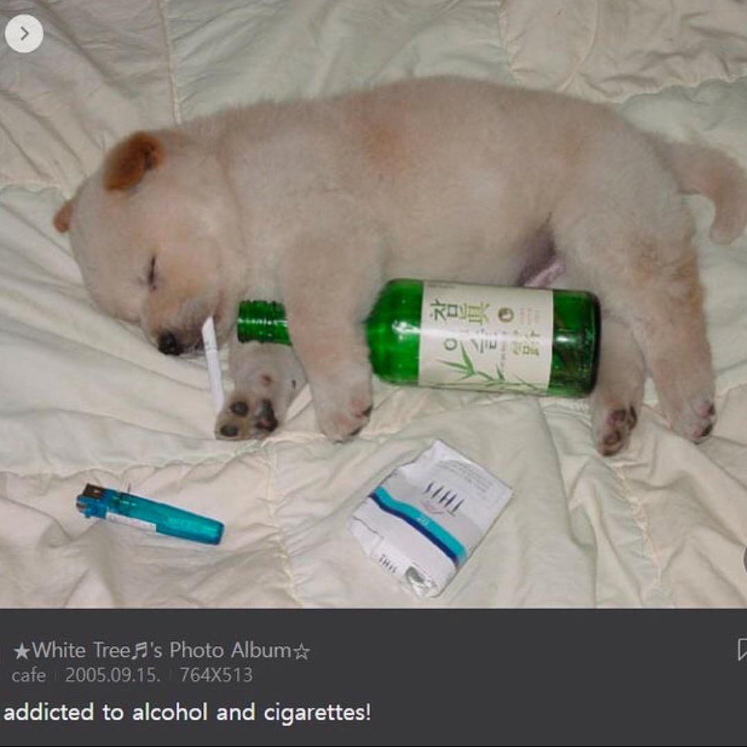 泪珠