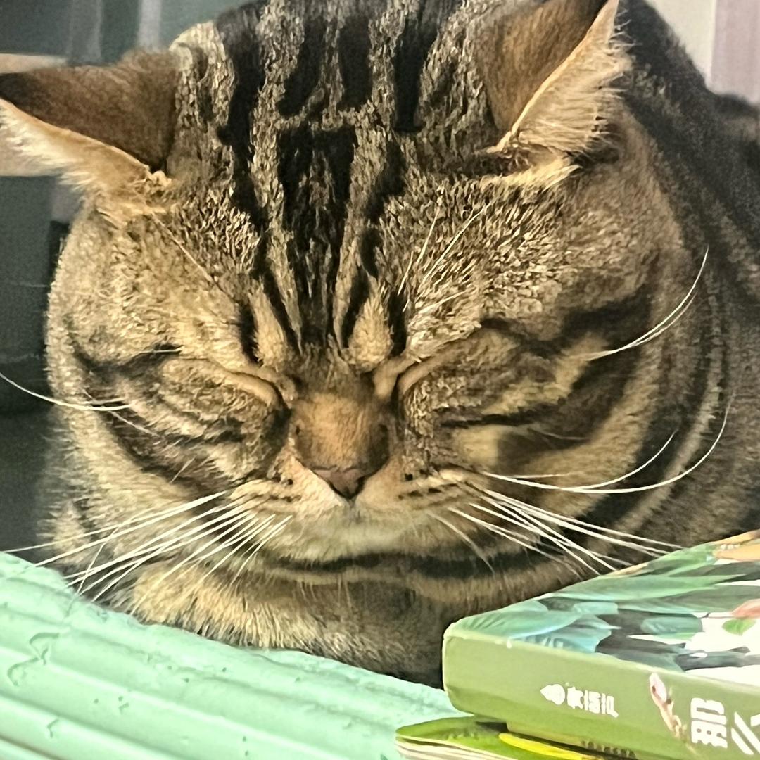 领渡健身私教李宁、