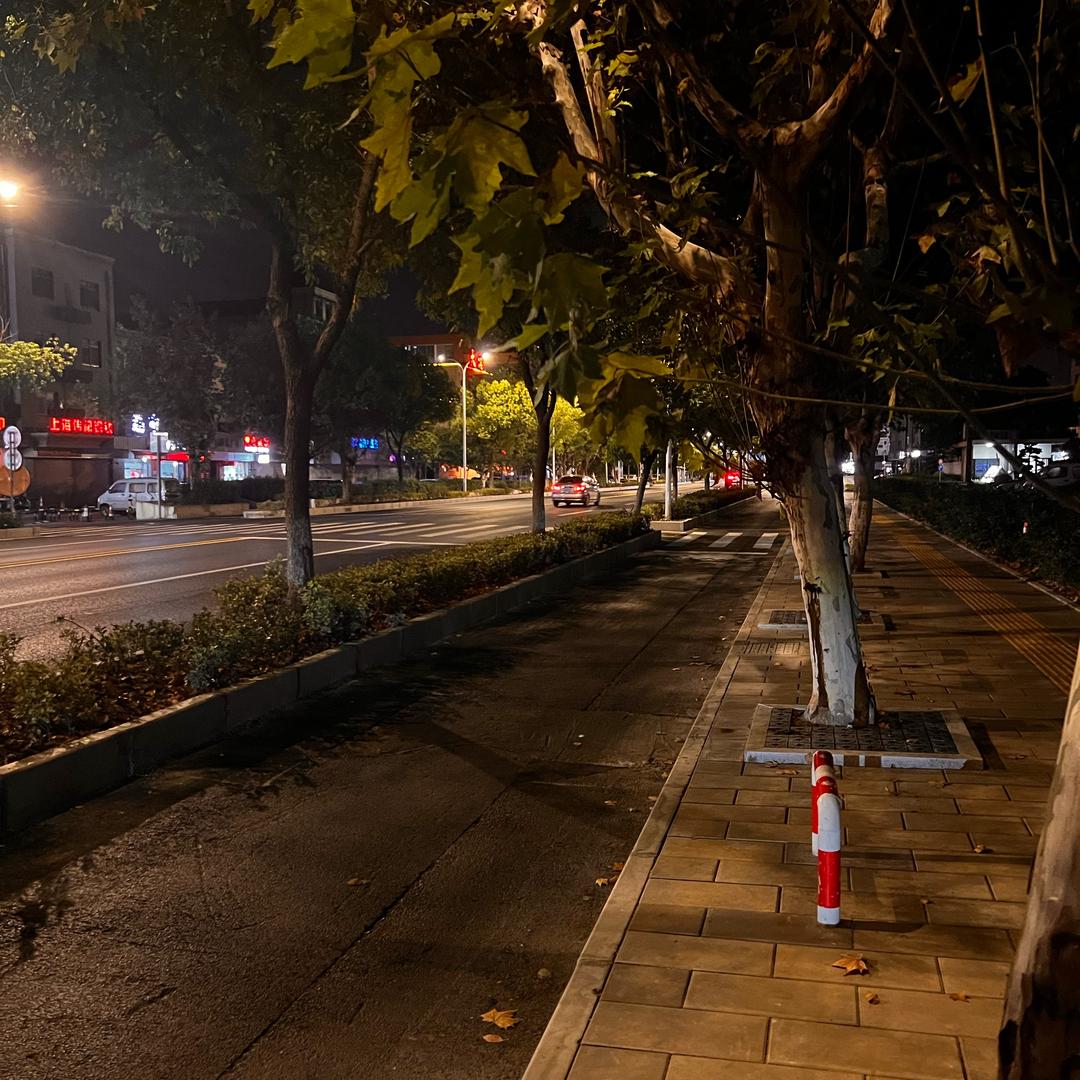 等风来