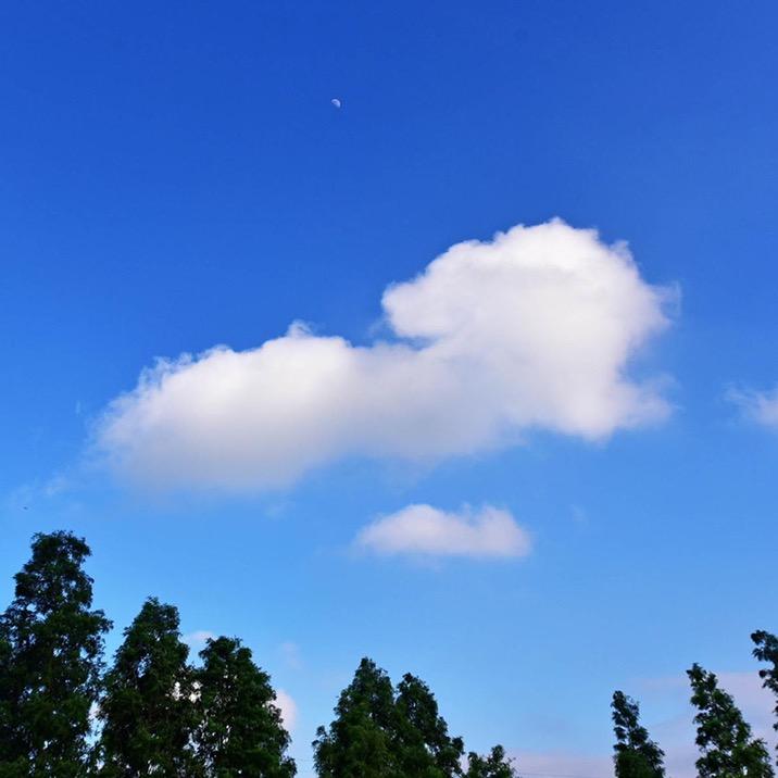 田小家