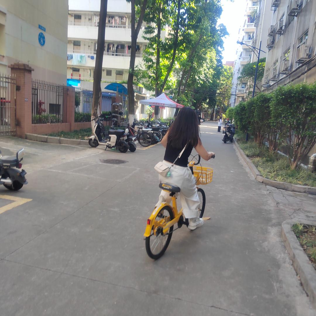 小红菇